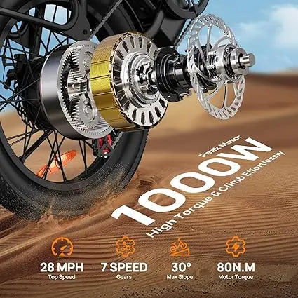 URLIFE 1000W E20 Electric Bike With Removable Battery And Dual Disc Brakes