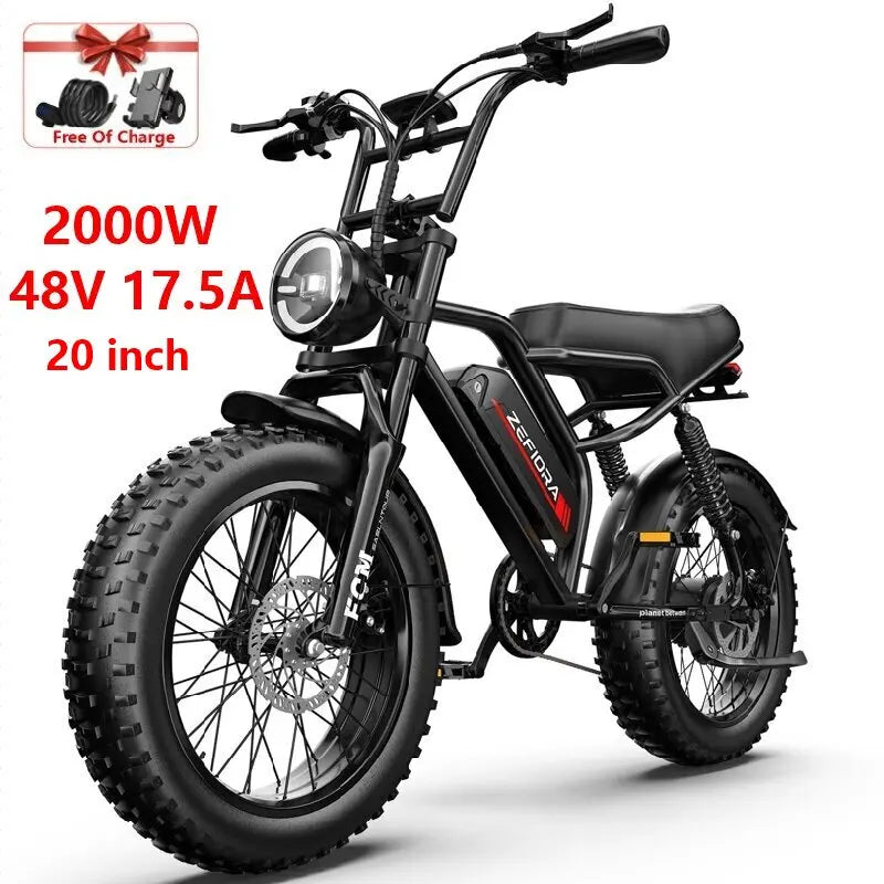 ZEFIORA Electric Scooter V10 48V Removable Battery Long Range