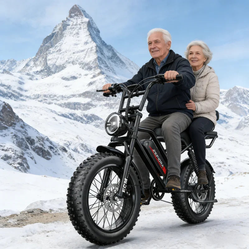 ZEFIORA Electric Scooter V10 48V Removable Battery Long Range